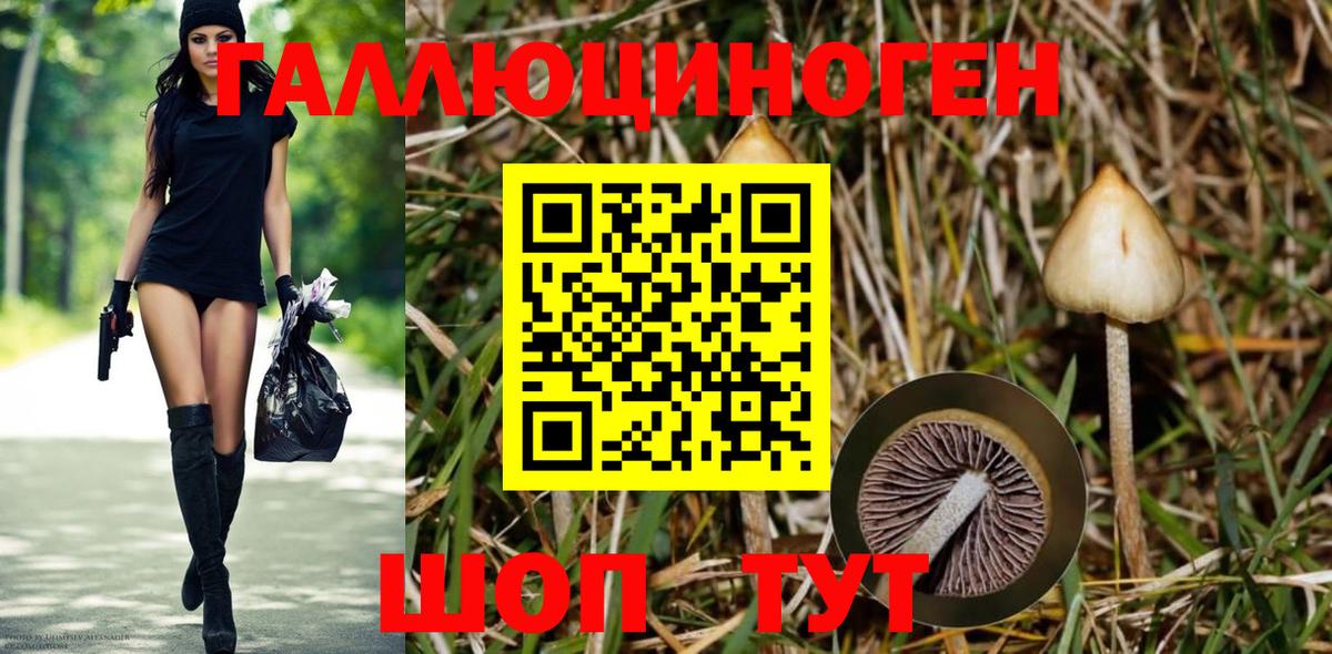 Псилоцибиновые грибы мухоморы Дзержинск